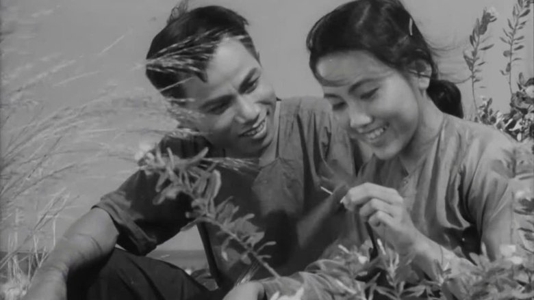 Gallery image from 9mnBovWPmTiv5sVmwLKCJqdVftI.jpg