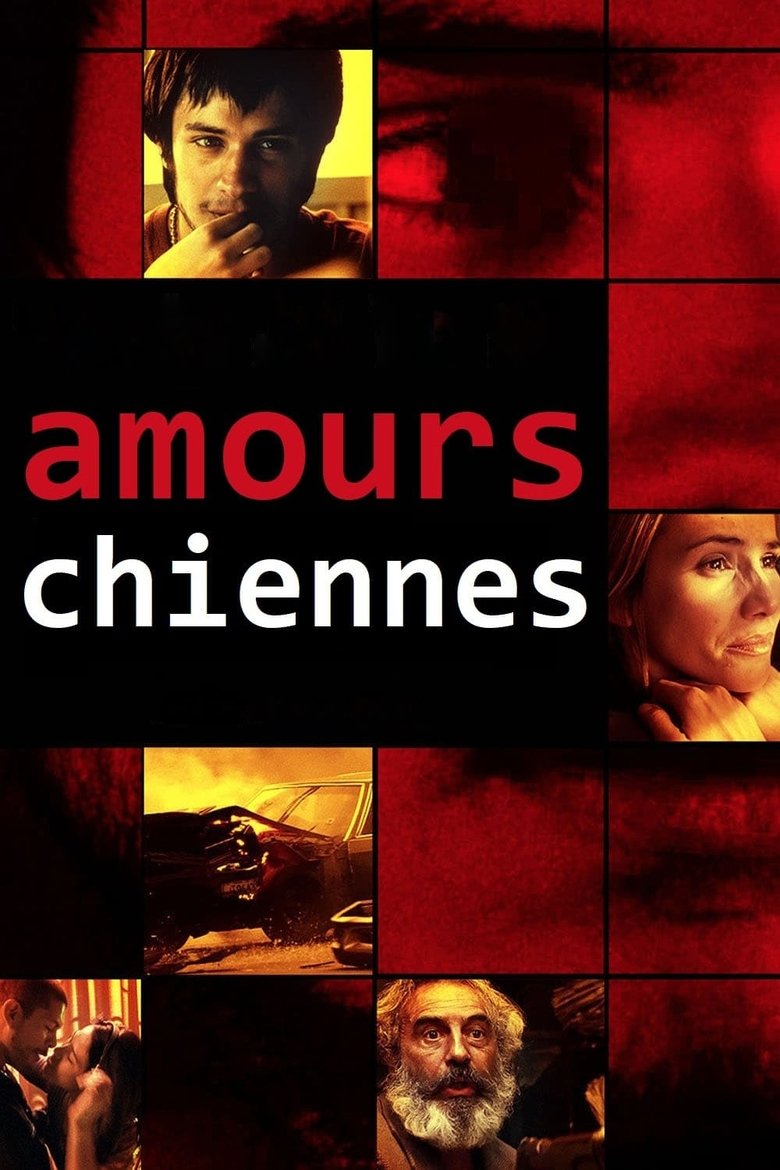 Poster du film Amours chiennes