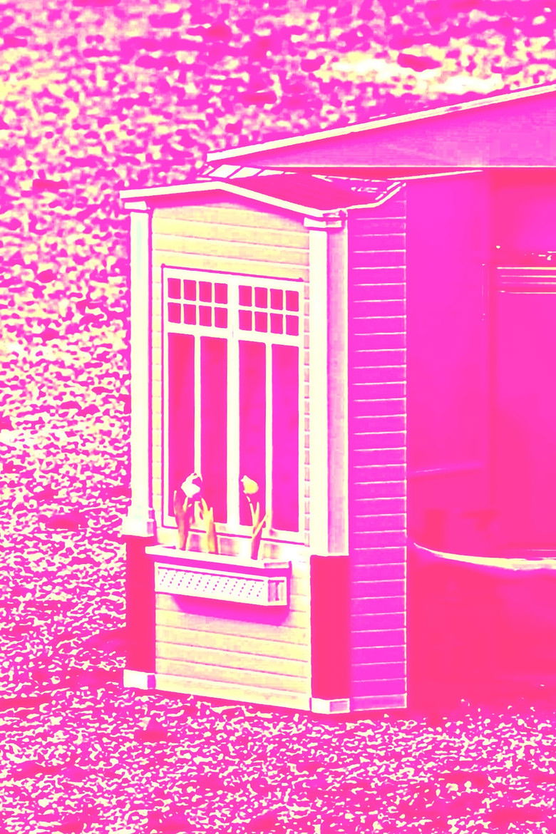 Imatge de CARNE-FICCIÓN