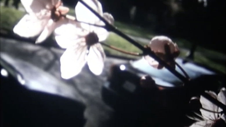 Gallery image from 9o27PU4u5Qleiy2HYfzkS6Rc4GL.jpg