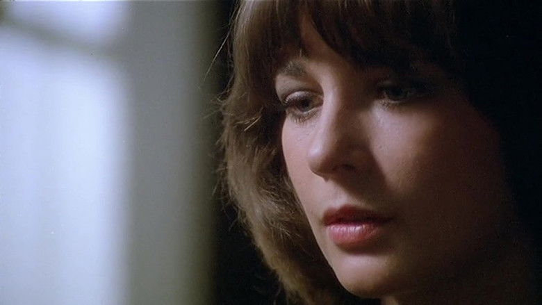 Difendimi dalla notte