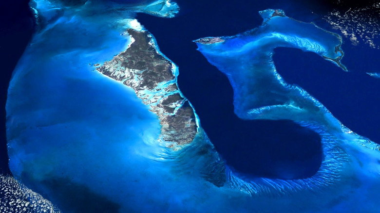 Still from Planet Earth - Season 1 Episode 9