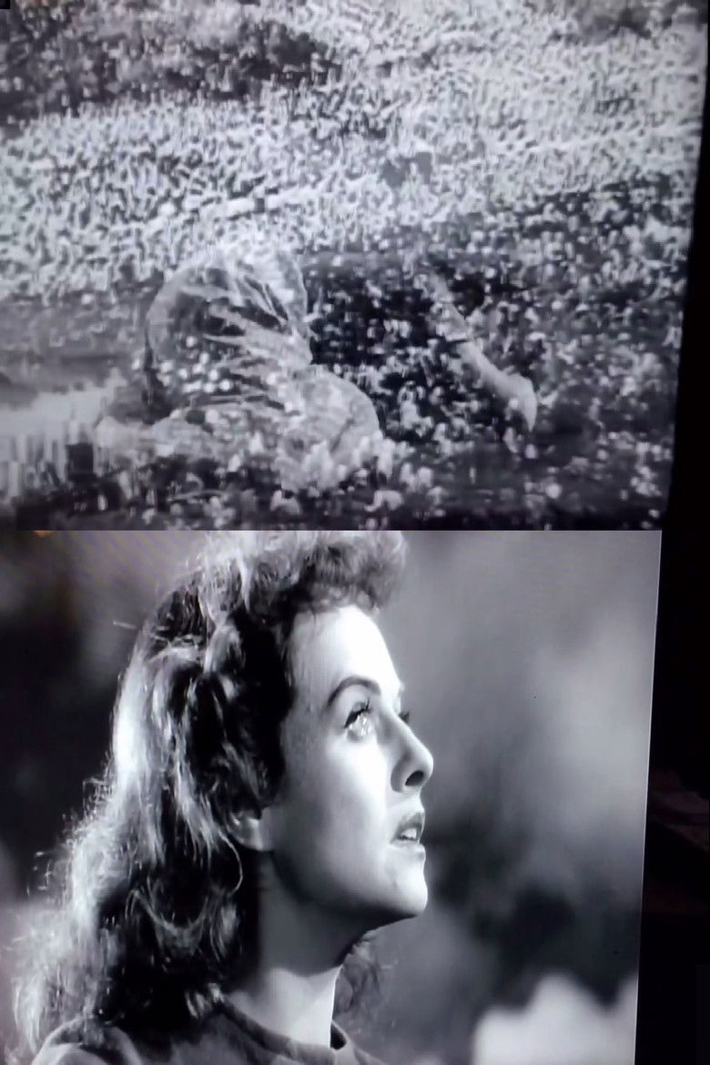 Imatge de A Guerra das Imagens