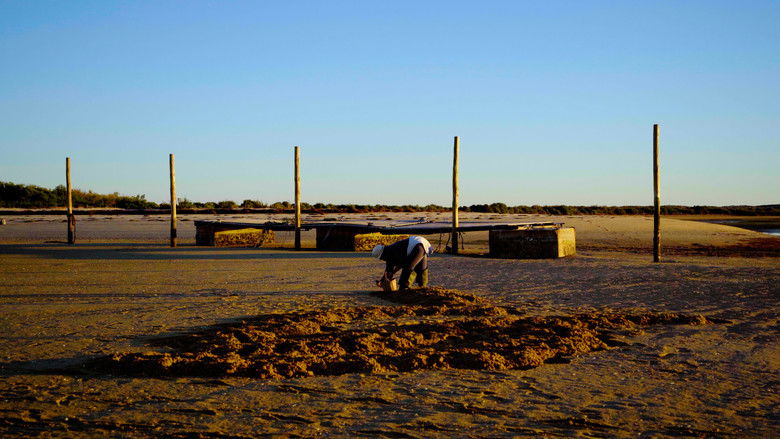 Imatge de Lá Pró Pé do Fim