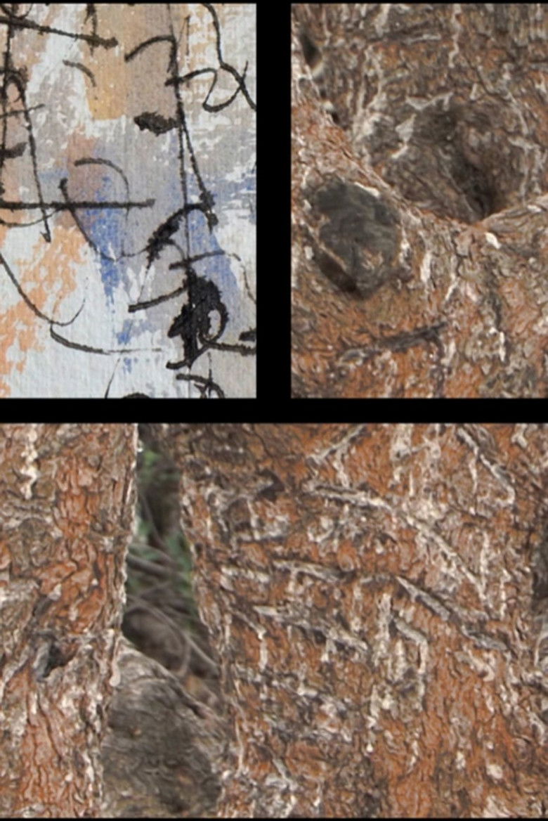 Imatge de Moving Sand/Topos