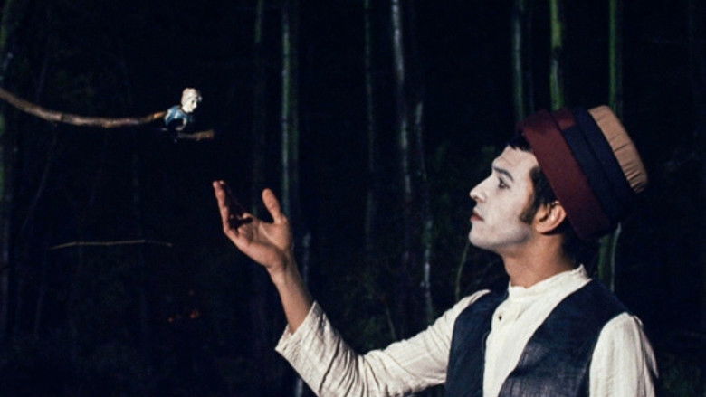 Медиа изображение