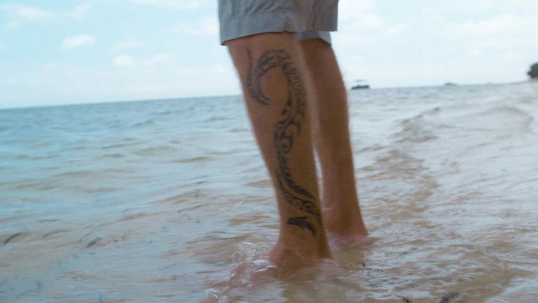 Still image for When Sharks Attack... and Why season 1 episode 8: Panic in Paradise Still image for When Sharks Attack... and Why season 1 episode 8: Panic in Paradise