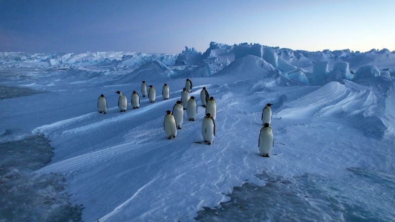 Vincent Munier, éternel émerveillé main backdrop