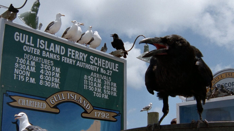 Image d'arrière-plan 10 du film Les Oiseaux II