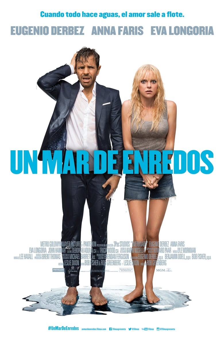 Póster la Película
