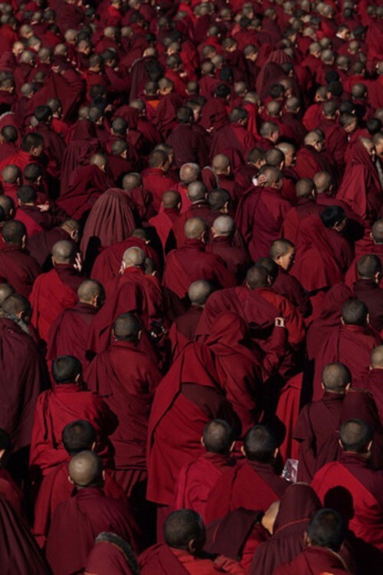 Imatge de Dark Red Forest