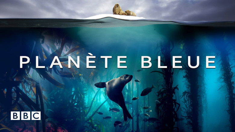 Gallery image from 9rgmibVswvZOwQ43sv7EK6WyMNU.jpg