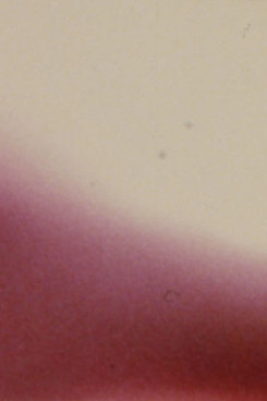 Arabic Numeral Series 17