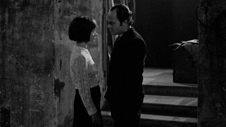 Gallery image from 9sEsKb7AcgLXXnmFY8YouECw49z.jpg