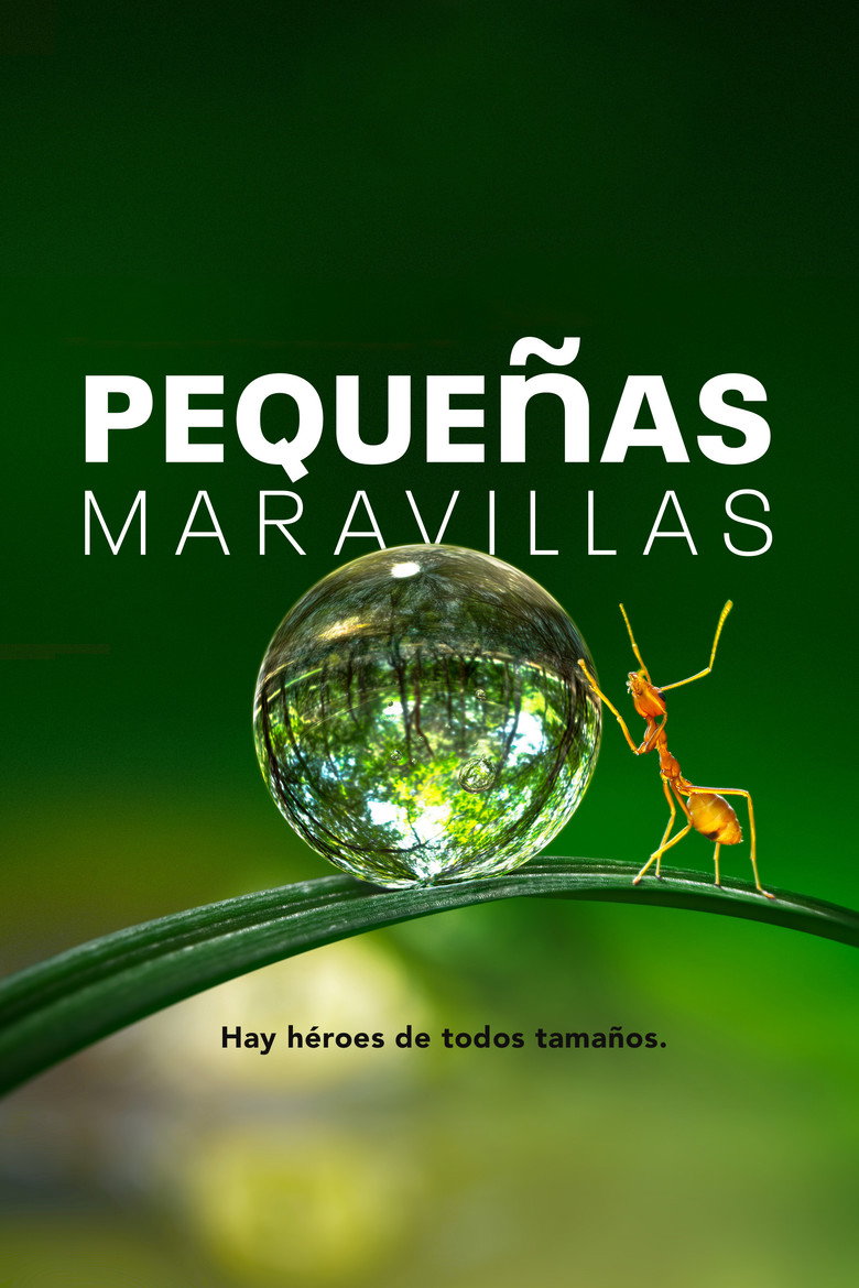 Pequeñas maravillas