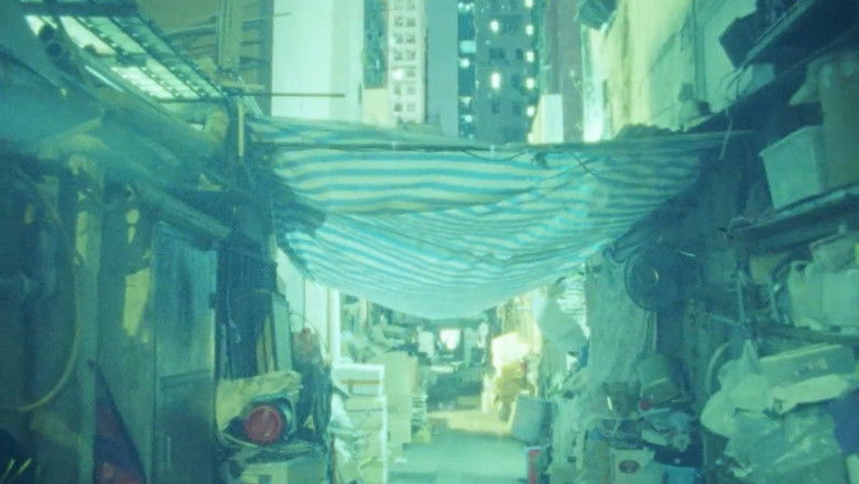 Gallery image from 9svoCrp7FErjUhC8ZW3BL4VNTPL.jpg