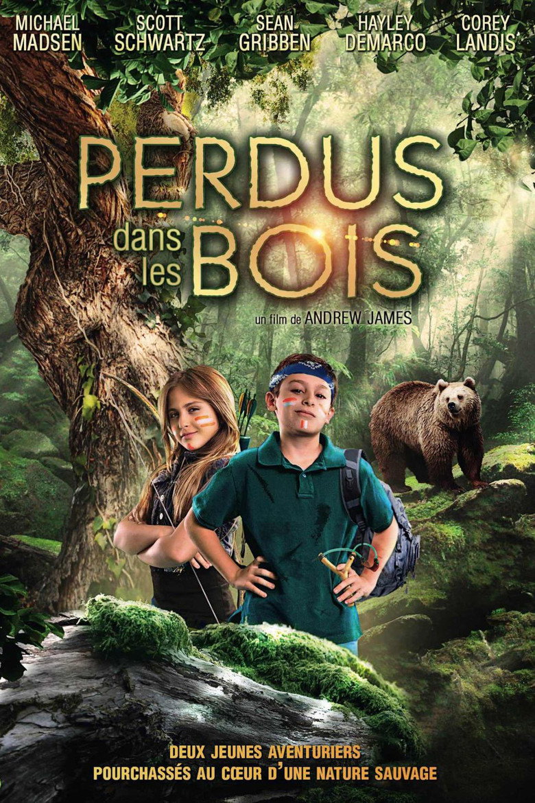 Affiche de Perdus dans les bois