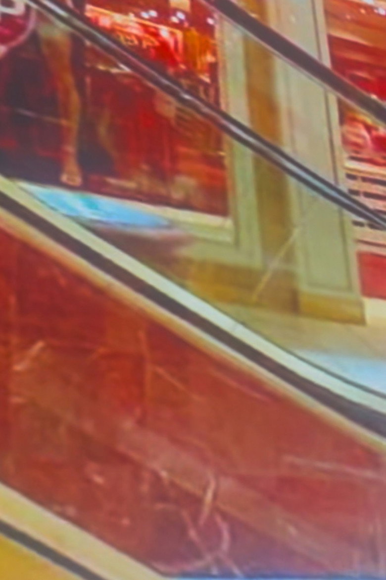 Imatge de The After Life