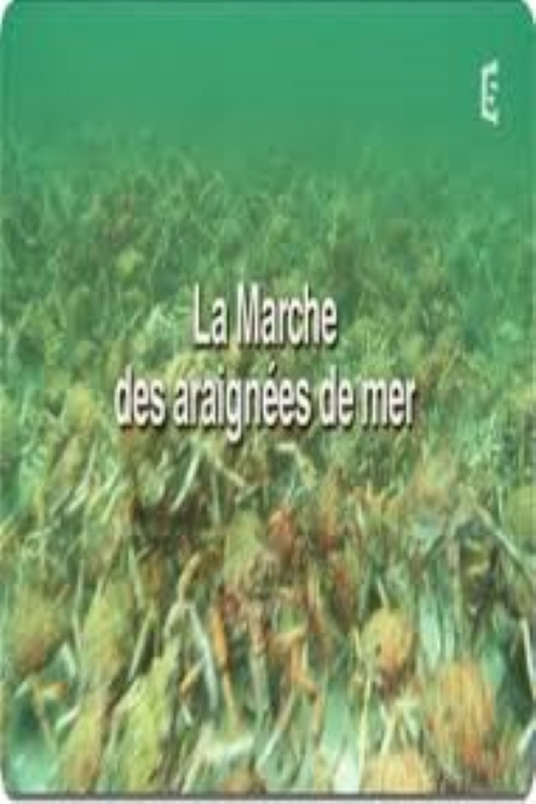 Imatge de La marche des araignées de mer