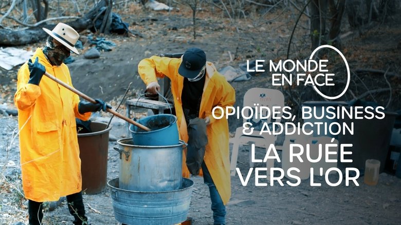 Le Monde En Face Saison 19 Épisode 17 Voirfilms