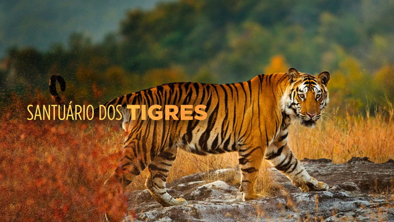 Gallery image from 9vfqBH92udG8TeTfGN3mzTBl2l1.jpg