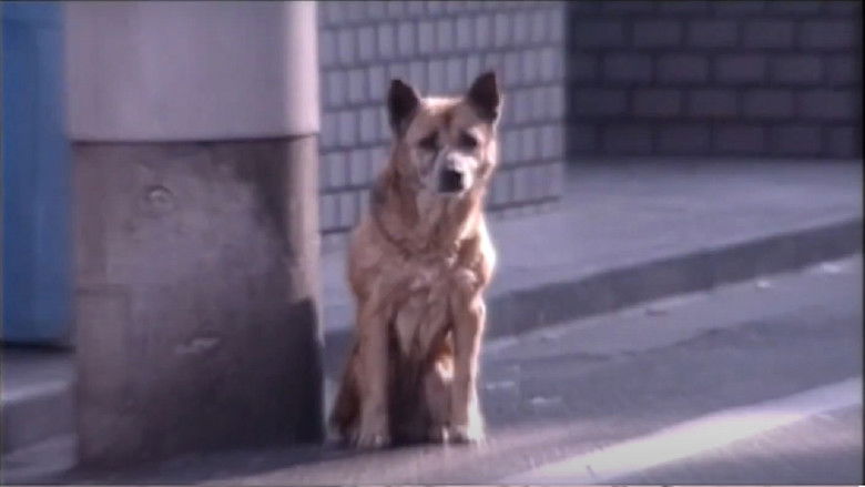 Still image for Eko Eko Azarak: The Series season 1 episode 11: Evil Eye Still image for Eko Eko Azarak: The Series season 1 episode 11: Evil Eye