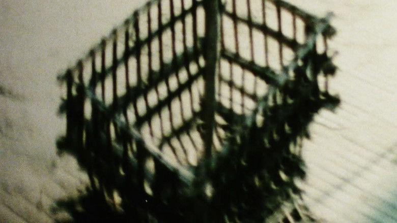 Gallery image from 9vpeCzxWvvpzb7vg84a5S8hHj25.jpg