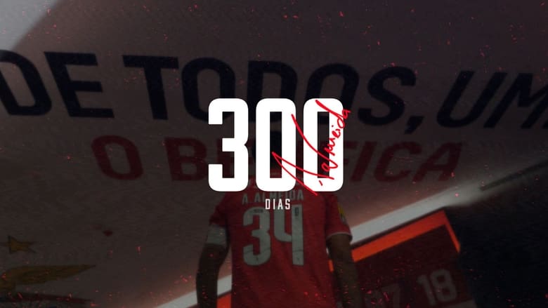 300 Dias