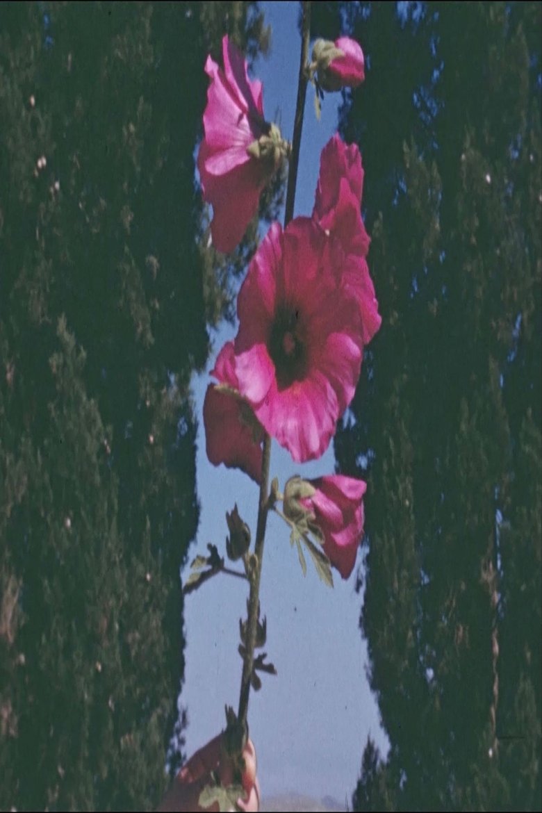 The Flowers Stand Silently, Witnessing main poster