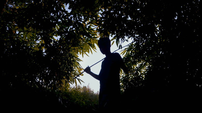 Gallery image from 9wMkzFHbISfiPRDTZcRDyfQYru8.jpg