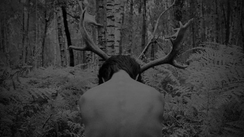 9xidd2i9rh2diwxo6bzt4prisvy