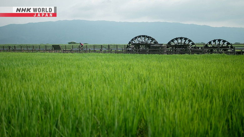 Fukuoka - Always Thinking Ahead