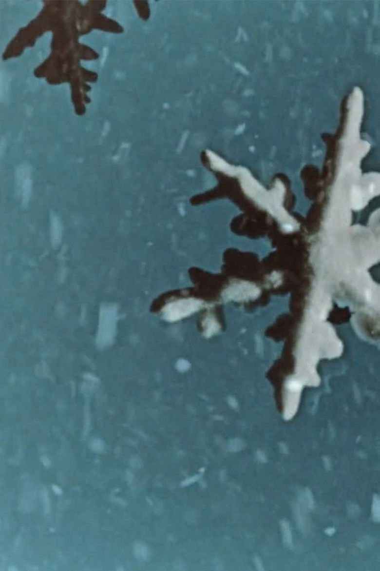 Imatge de Melting Snow