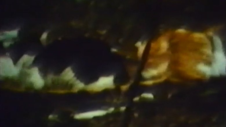 CAT main backdrop