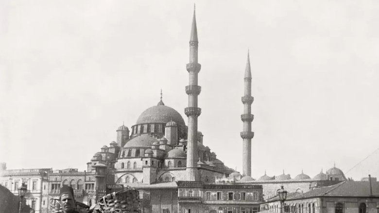 Gallery image from 9y1gZJyWarKDCjJ0ddVxxVoJnio.jpg