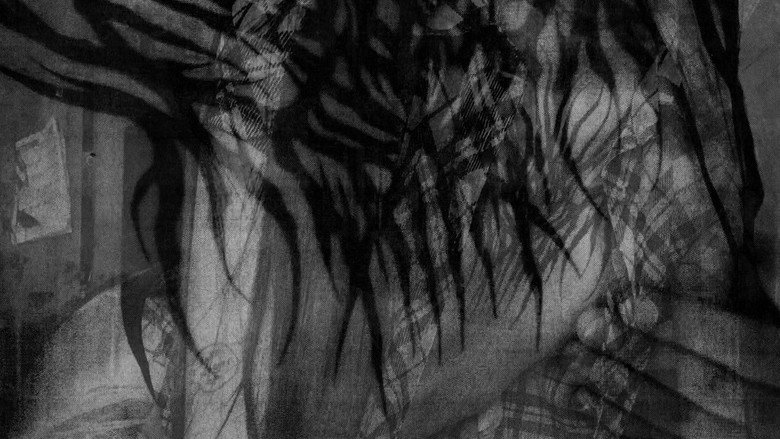 Palpitación nocturna