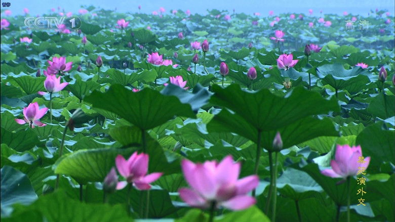 Still image for Summer Palace season 1 episode 5: Episode 5 Still image for Summer Palace season 1 episode 5: Episode 5