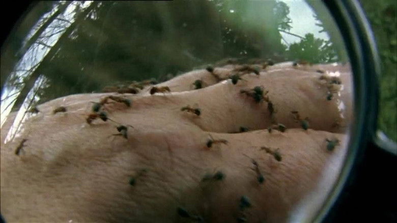 Still image for Saga Prastarej Puszczy season 1 episode 2: Episode 2