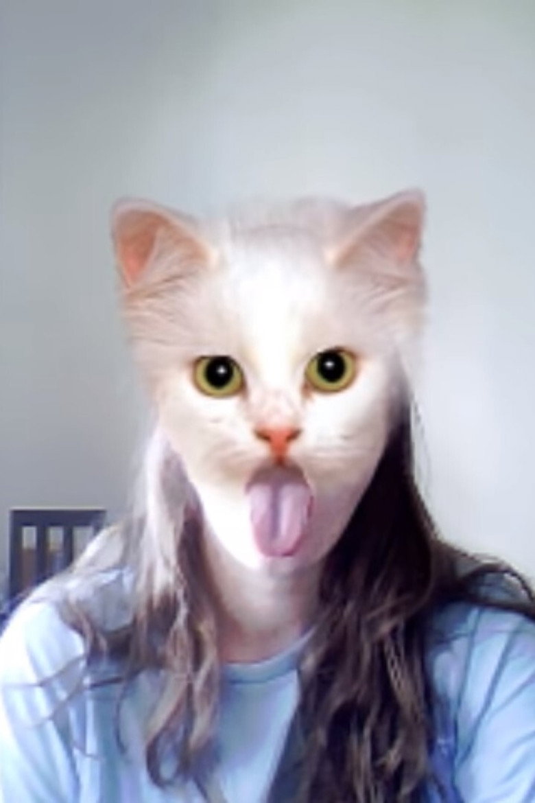 Imatge de cats spirt spsit spit