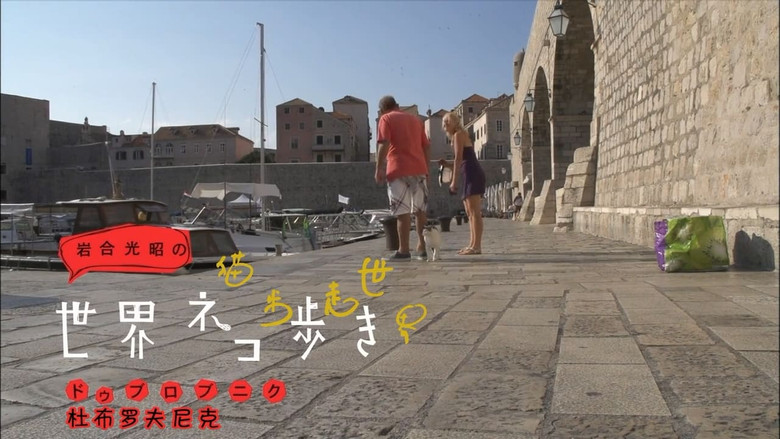 Still image for Mitsuaki Iwago's World “Cats” Travelogue season 1 episode 13: Dubrovnik Still image for Mitsuaki Iwago's World “Cats” Travelogue season 1 episode 13: Dubrovnik