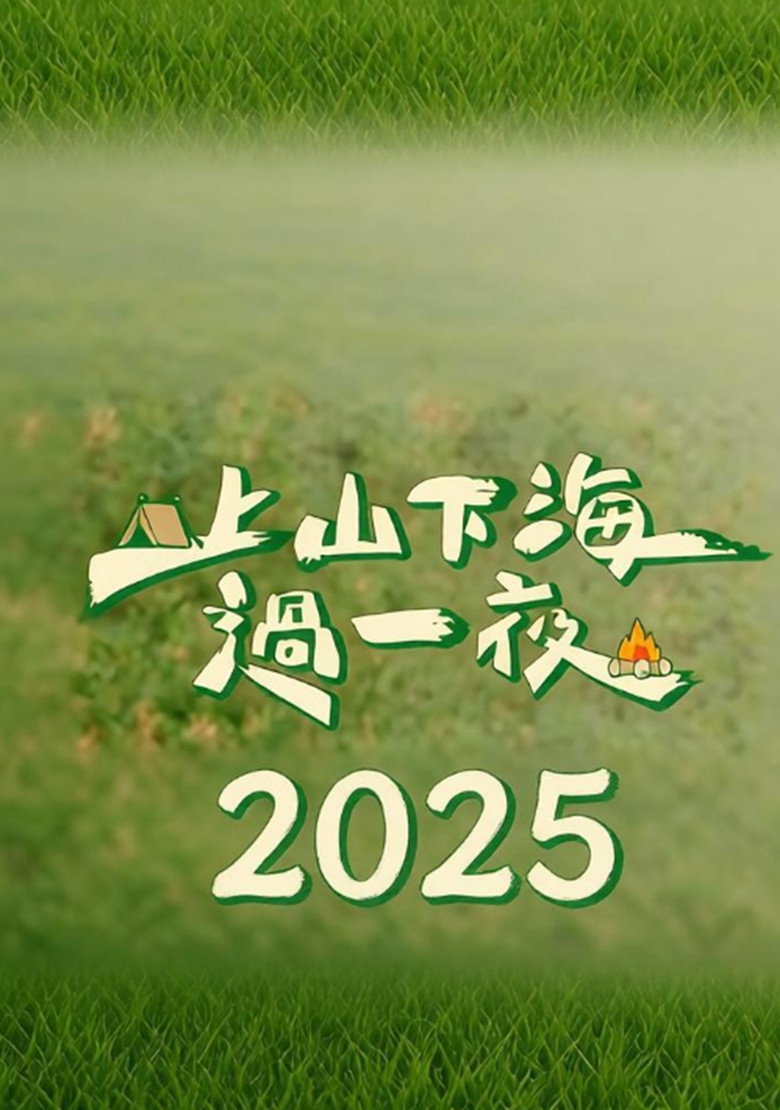 上山下海过一夜（2025） poster