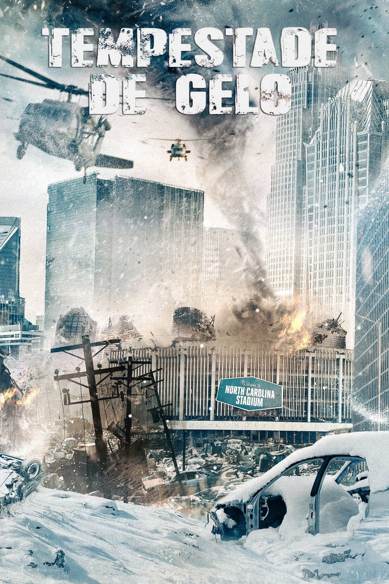 Póster la Película