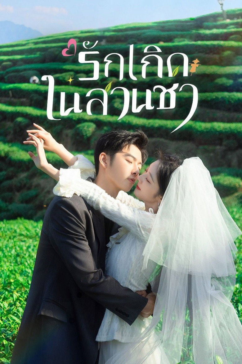 รักเกิดในสวนชา