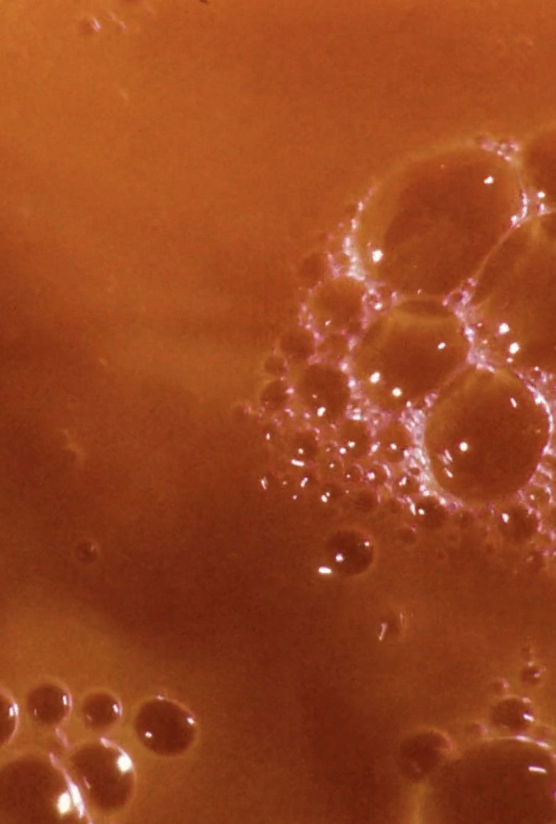 Imatge de Earth Had Issues Loading...