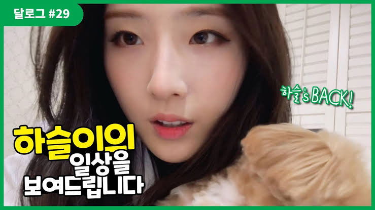 Still image for LOONA Log season 1 episode 29: HaSeul #29