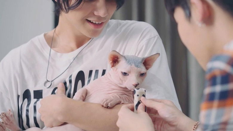 Still image for Ingredients season 1 episode 12: Attraction Still image for Ingredients season 1 episode 12: Attraction