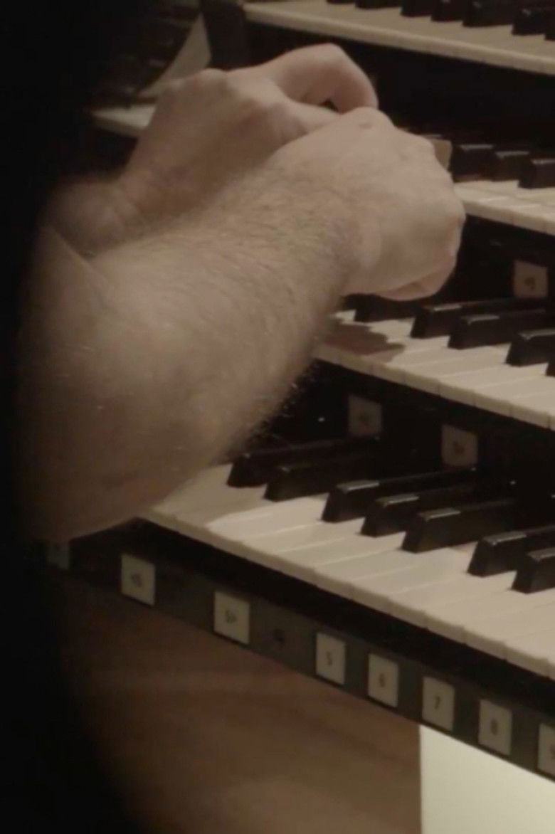 Imatge de Zorn II (2016 – 2018)