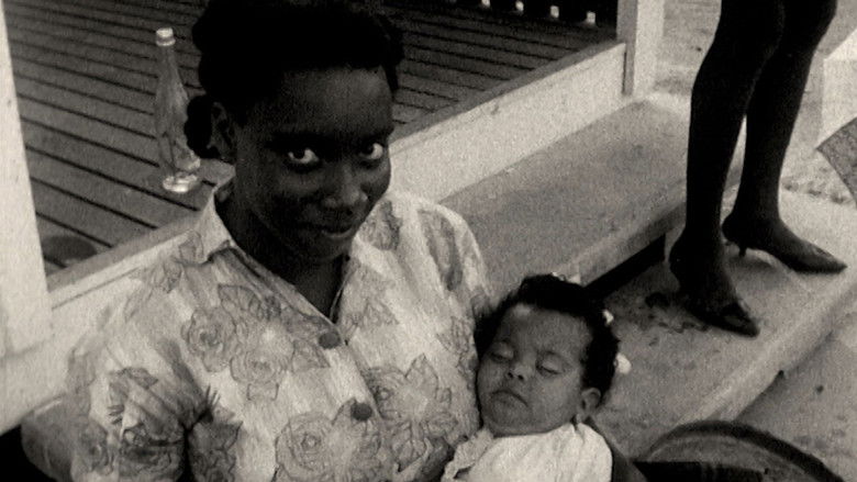 Gallery image from A4lNbxK59U5v3dUyRBnkUR86oX5.jpg