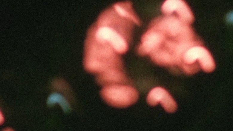 Gallery image from A4lfcmB2eApagCTjye05NzK0kFO.jpg