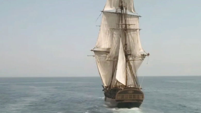 Gallery image from A4nmJ0TP48HDuwyX3vvKewZIfUD.jpg